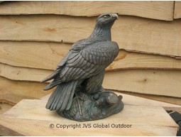 Steinadler
