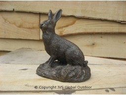 Hase