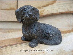 Rauhhaardackel, Dachshund