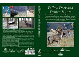 Damhirsch und Treibjagd