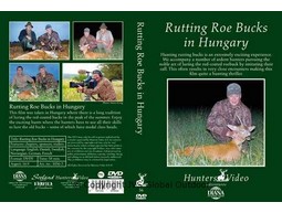 Brunfthirschjagd in Ungarn 1056-3 
