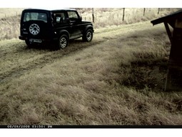 Wild camera 8MP