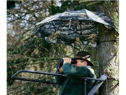 Baum-Regenschirm