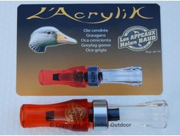 Lokfl&ouml;te Graugans