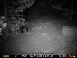 Wildcamera TRUTH Cam 46