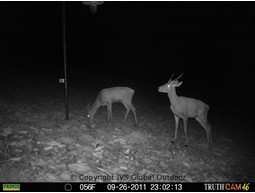 Wildcamera TRUTH Cam 46