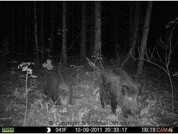 Wildcamera TRUTH Cam 46