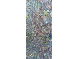 Tarnnetz 1,5 x 4 Meter Mossy Oak