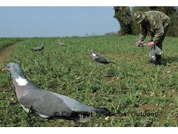 Tauben- / Krähenhalter 5st