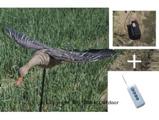 Realistischer Gänseflapper für mehr Bewegung im Lockbild