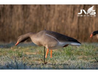 JVS Decoys Graugans Full Body (12 Stk)