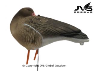 JVS Decoys Graugans Full Body (6 Stk)
