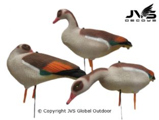 JVS Decoys Nilgans Lockgänse - Set mit 6 Stück