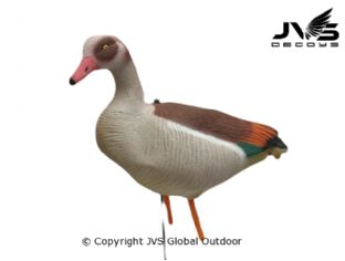 JVS Decoys Nilgans Full Body (12 Stk)