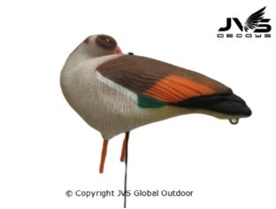 JVS Decoys Nilgans Full Body (12 Stk)