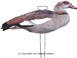 JVS Decoys Nilgans