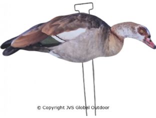 JVS Decoys Nilgans