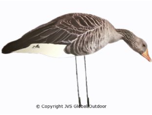 JVS Decoys Silhouetten-Gänse 12 stk