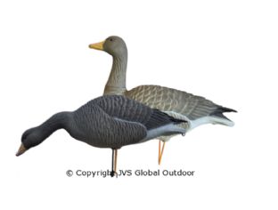 JVS Decoys Ultimate Graugans