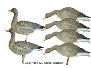 JVS Decoys Ultimate Graugans (6 stk)