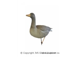 JVS Decoys Ultimate Graugans