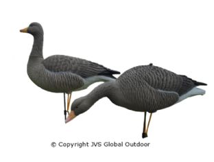 JVS Decoys Ultimate Graugans