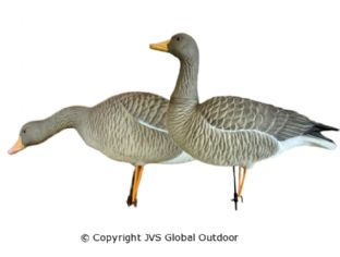 JVS Decoys Ultimate Graugans (6 stk)