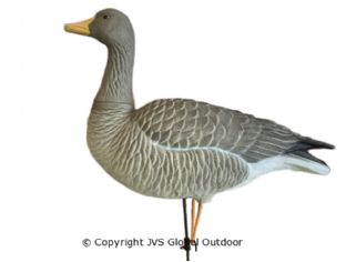 JVS Decoys Ultimate Graugans (6 stk)